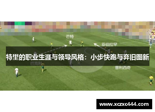 特里的职业生涯与领导风格：小步快跑与弃旧图新